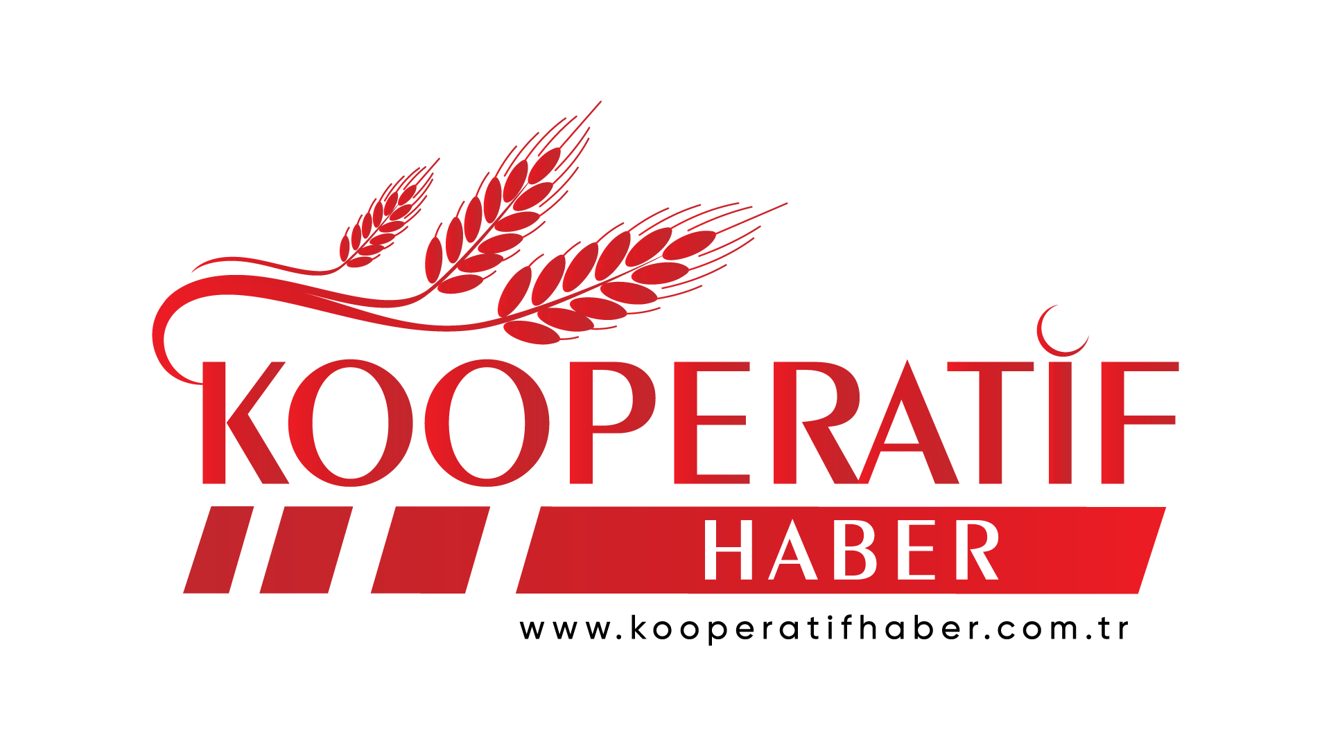 Kooperatif Haber