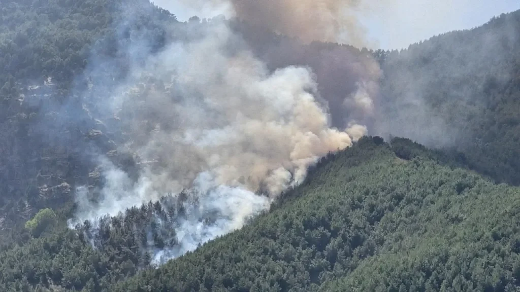 Beş ilde orman yangını: Ekipler havadan ve karadan müdahale ediyor