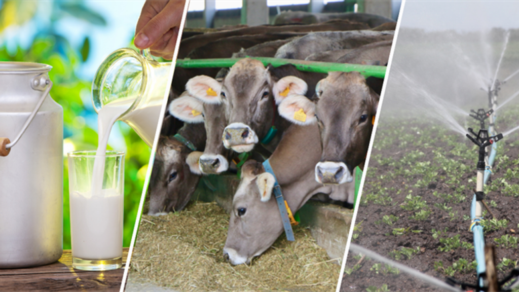 Tarımsal Destekleme Ödemeleri Hesaplara Yatmaya Başladı