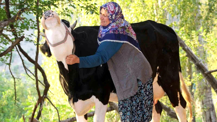 Feke ilçesindeki köyde süt ürünleri bulunamıyor