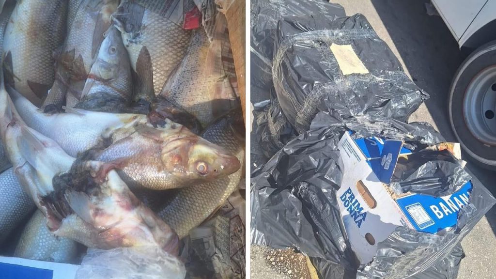 Antalya Otogarı’nda su ürünlerine denetim: 100 kg ürüne el konuldu