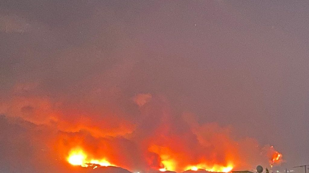 Bursa'da büyük orman yangını: Kül olan alanlar, yaralılar ve yaban hayatı katliamı