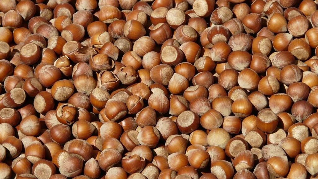 Fındık ihracatından 7 ayda 1,3 milyar dolar gelir sağlandı