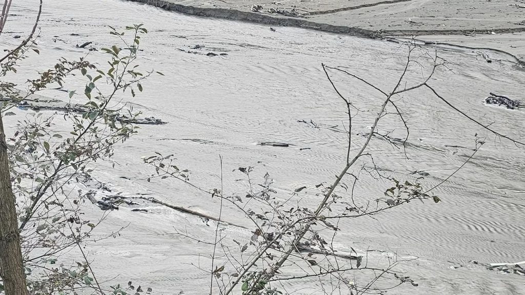 Harşit Çayı'nda tehlike çanları çalıyor