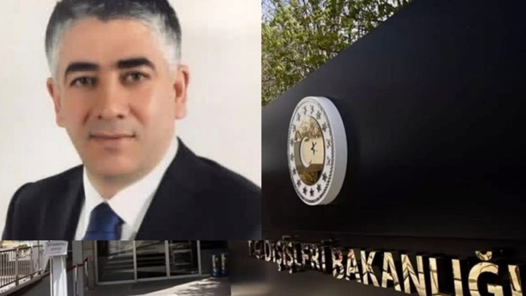 Hacı Ali Özel, Dışişleri bakan yardımcılığına atandı