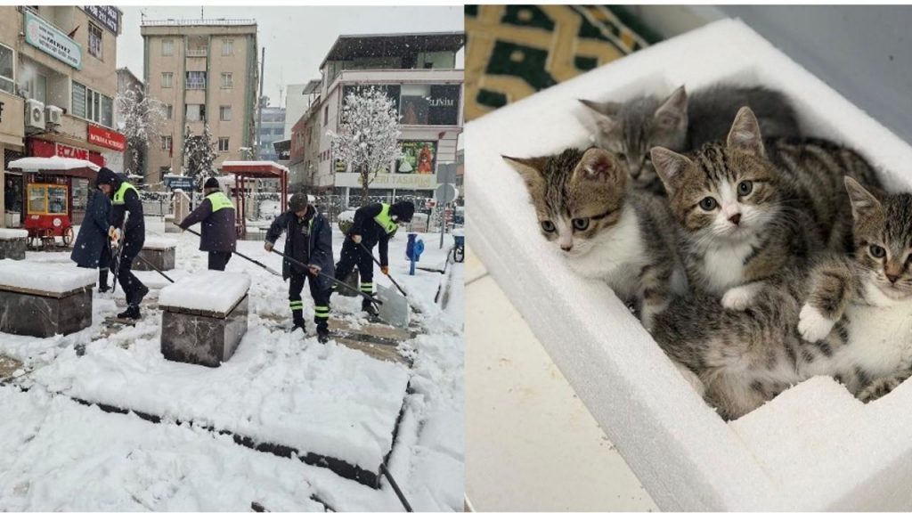 Belediye emekçileri yoğun kar yağışına karşı seferber oldu