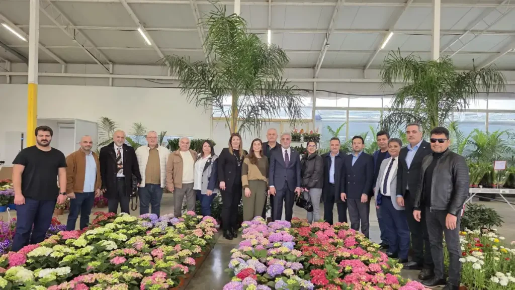 Garden Koala’ya ziyaret